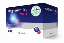 ML MAGNESIUM B6 FORTE 100+20 TBL.